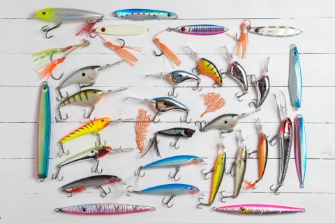 Baits for Spring Bass Fishing